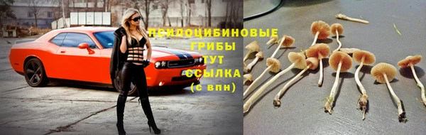 каннабис Алексеевка