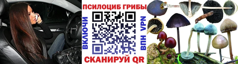 Псилоцибиновые грибы Psilocybine cubensis  закладка  Урюпинск 