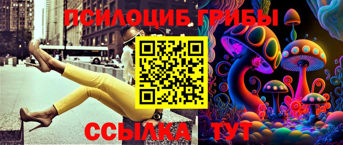 Галлюциногенные грибы мицелий  Галлюциногенные грибы прущие грибы  Вход с VPN  Урюпинск 
